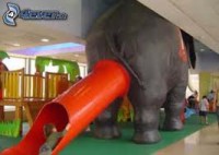 /album/fotogaleria/images-8-jpg1/